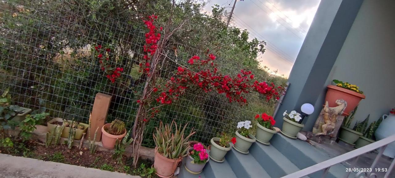 Marilidiahouse Villa Tzigkouna Luaran gambar